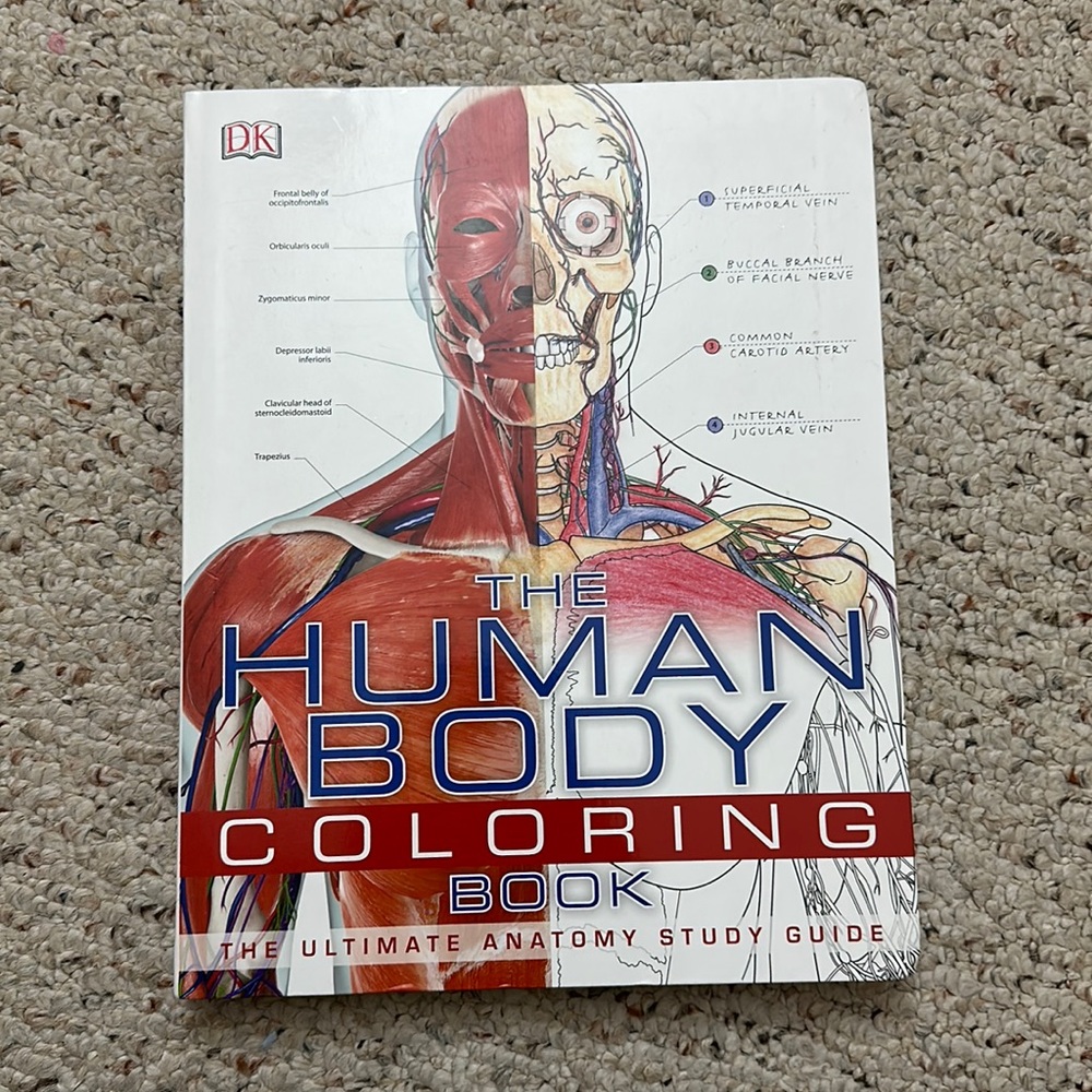 Human anatomy coloring book